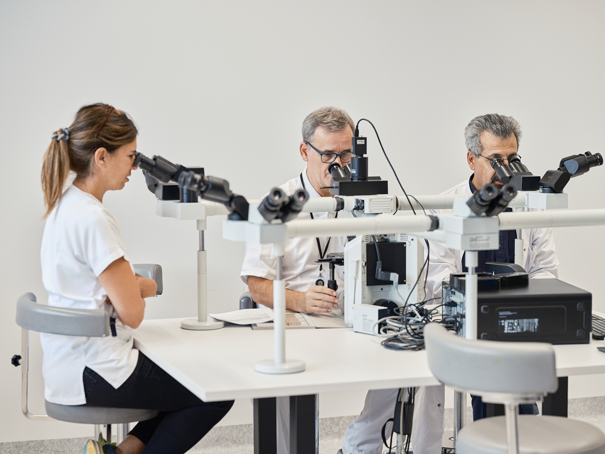 Patholog*innen sitzen vor dem Diskussionsmikroskop